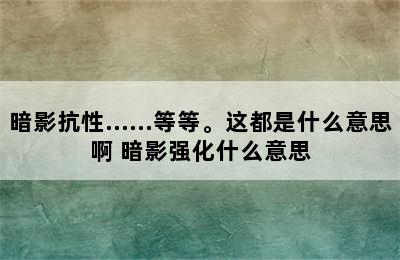 暗影抗性……等等。这都是什么意思啊 暗影强化什么意思